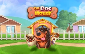 The Dog House juego en el casino 1win